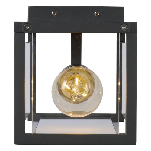 Настенный светильник Claire Mini 27885/01/30 Lucide уличный IP54 чёрный 1 лампа, плафон прозрачный в стиле современный E27 фото 9